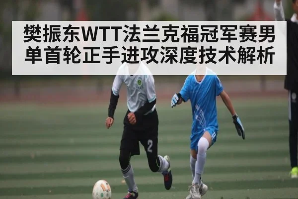 樊振东WTT法兰克福冠军赛男单首轮正手进攻深度技术解析