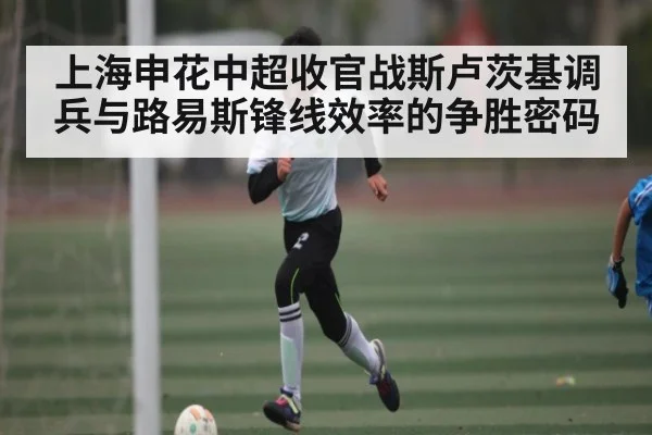 上海申花中超收官战斯卢茨基调兵与路易斯锋线效率的争胜密码